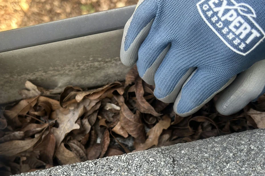 Gutter Cleaning Waxhaw