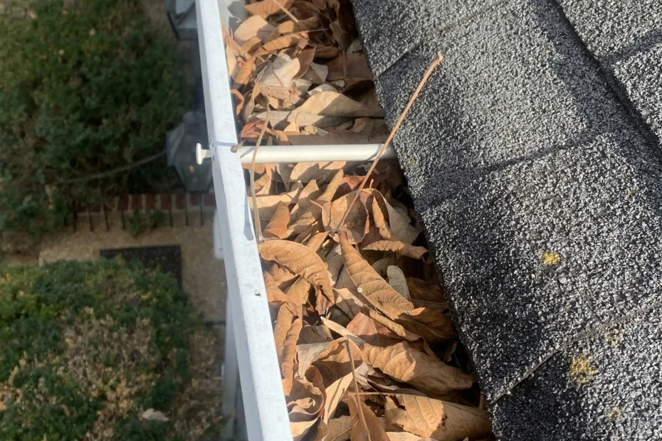 Gutter Cleaning Waxhaw